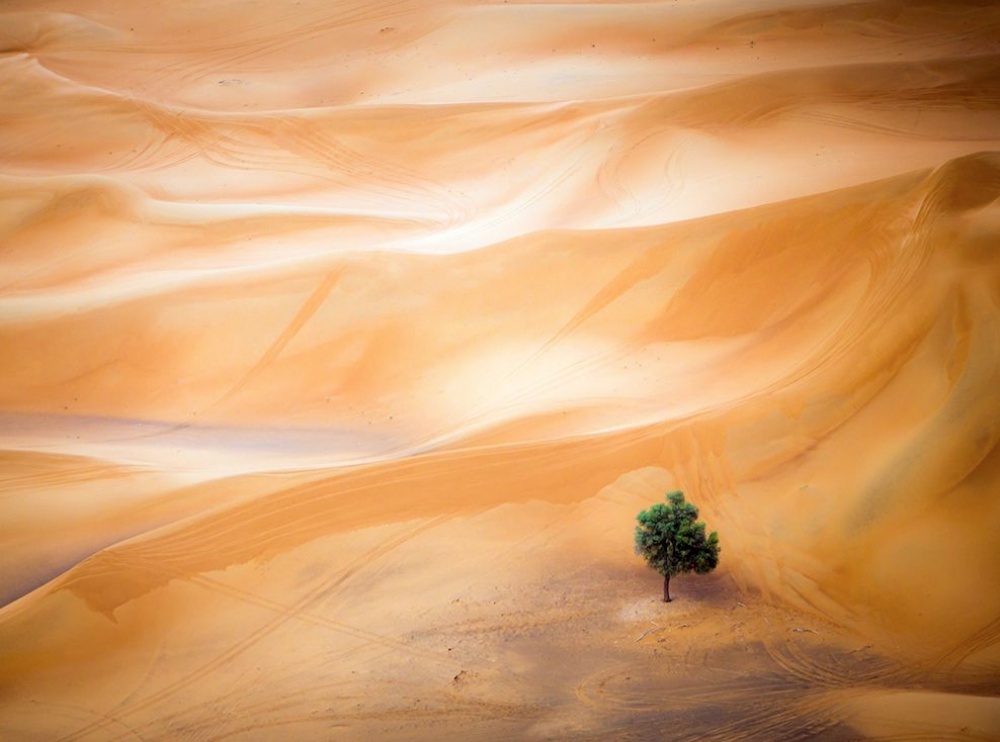 20   National Geographic