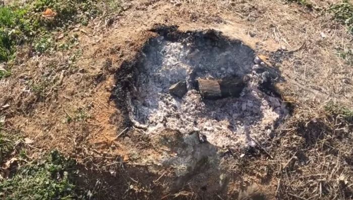 Как удалить пень без выкорчёвывания Как удалить пень без выкорчёвывания выкорчевка пня