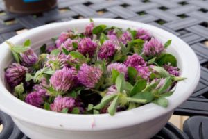 Салат с клевером