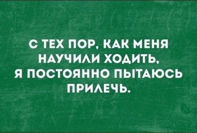 Смешные, но гениальные мысли из Сети Смешные, но гениальные мысли из Сети