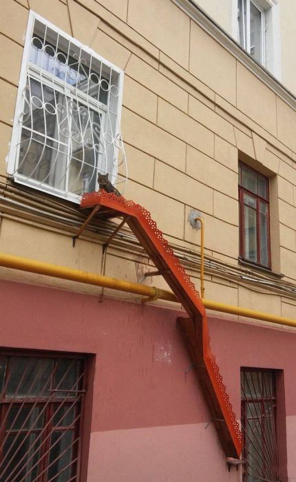 Фото, которые возможно было сделать только в России (39 фото)