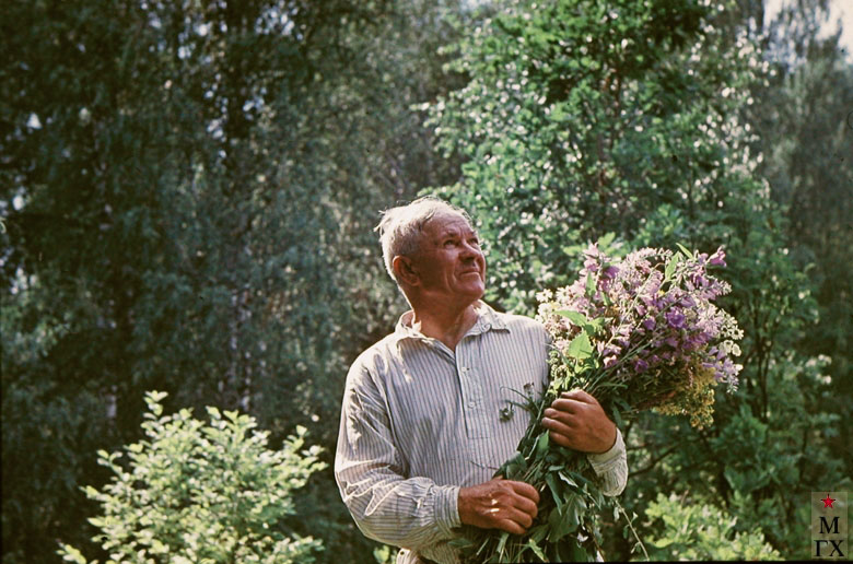 Жизнеутверждающие картины русского художника Пластова