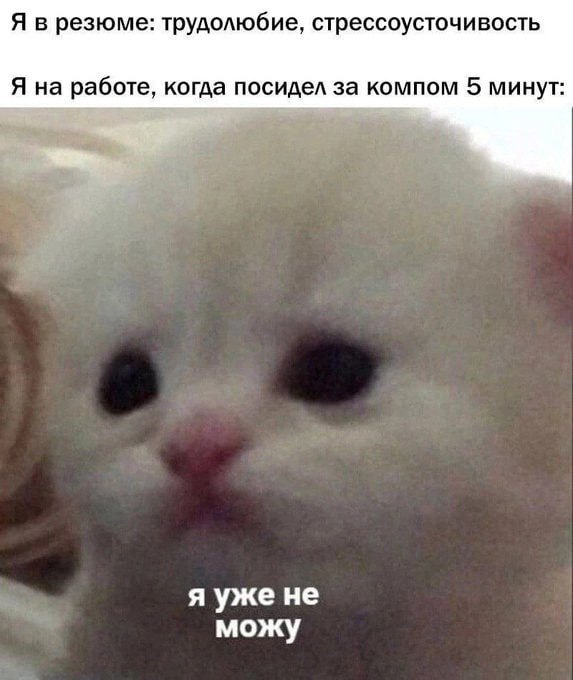 Смешные картинки про работу, жизнь и верное решение 