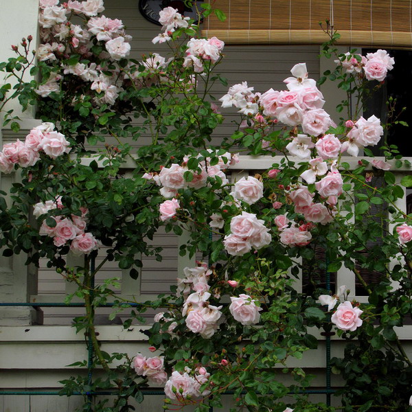 landscape-design-for-romantics17-1