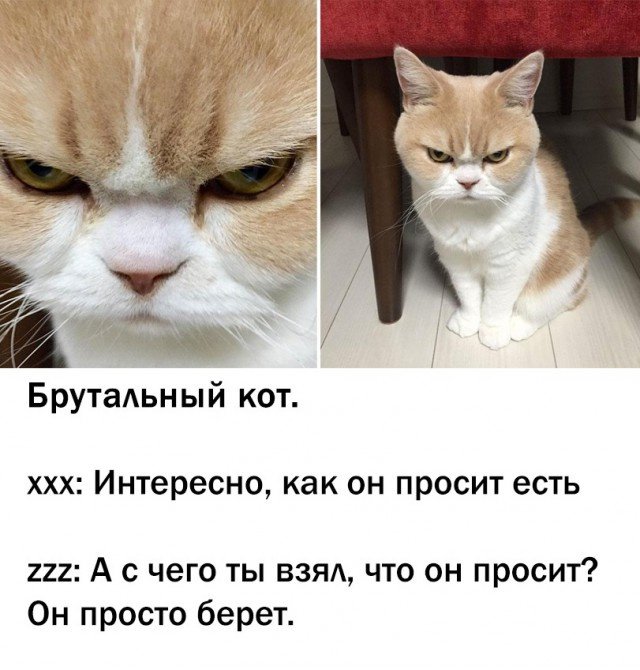 Юмор на разные темы Юмор на разные темы