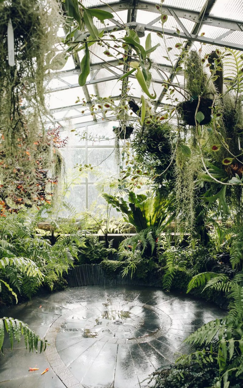 «Дуэт фотографов путешествует по миру, снимая ботанические сады, оранжереи и теплицы 4