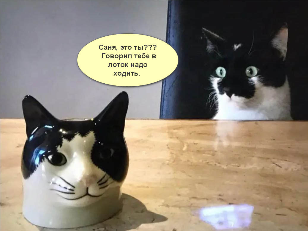 19 свежих картинок с надписями 