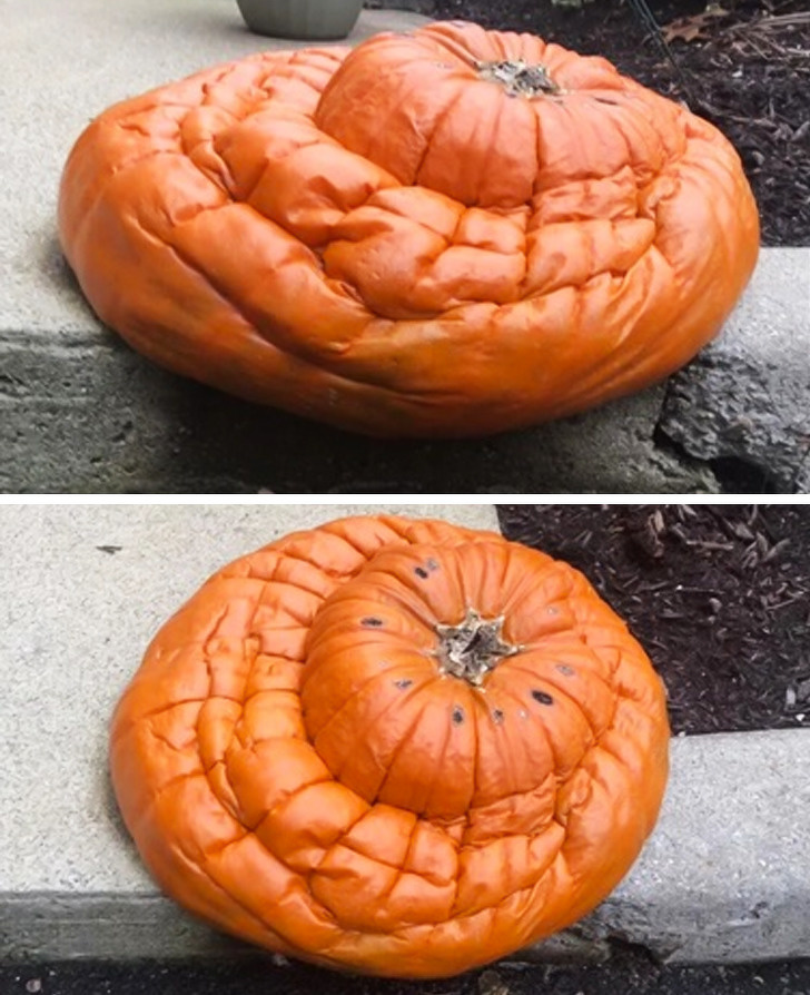 25 фото, героям которых плевать на законы физики 