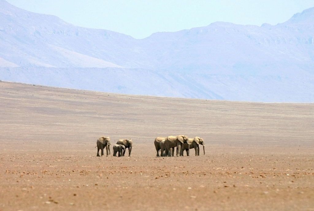 Национальный парк Берег скелетов в Намибии (Skeleton Coast Park)