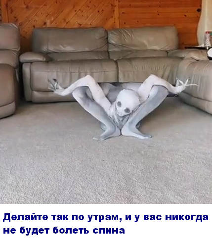 19 свежих картинок с надписями 