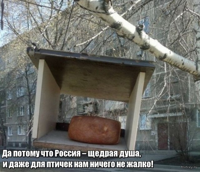 Весна уже пришла? Или пока еще нет? Весна уже пришла? Или пока еще нет? смешные картинки