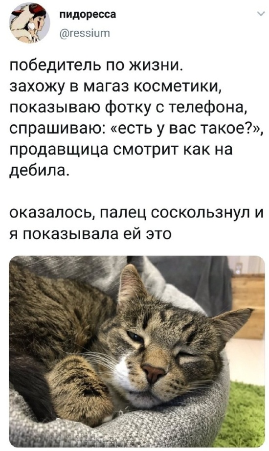Колкие комментарии и находчивые высказывания из соцсетей Колкие комментарии и находчивые высказывания из соцсетей