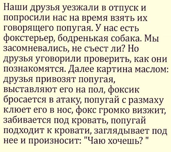 Вчера заходил в гости к другу. Он живет один в трехкомнатной квартире... юмор