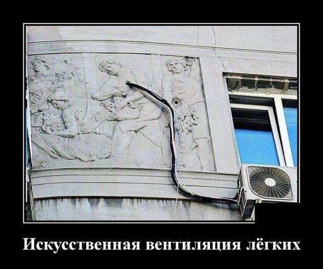 Самые улётные демотиваторы дня 