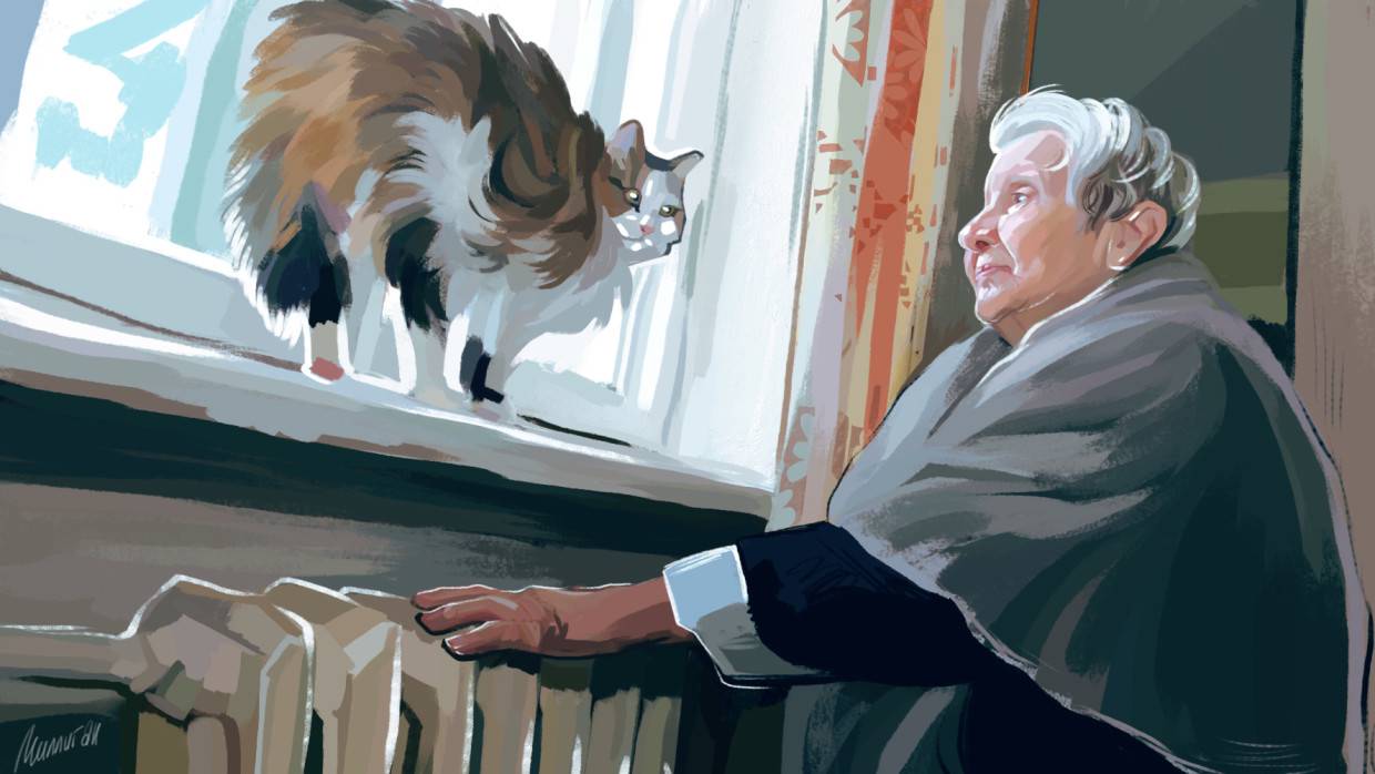 Пользователи YouTube согласились с депутатом Рады Волошиным о тяжелой зиме на Украине