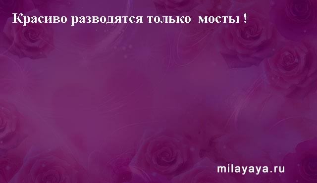 Картинки со статусами. Подборка milayaya-status-milayaya-status-53420611082020-14 картинка milayaya-status-53420611082020-14