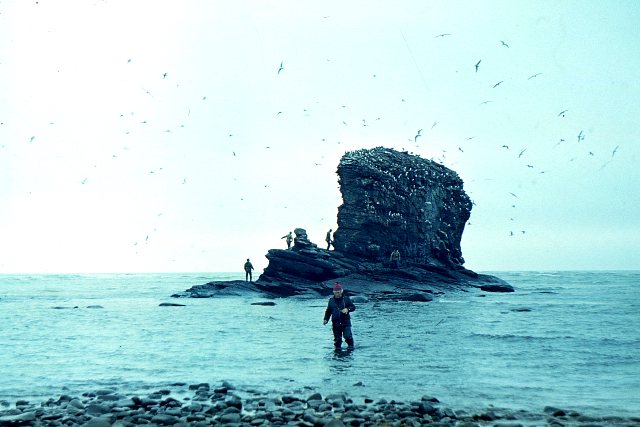 Забытые путешествия: с Камчатки на Чукотку, 1982 год Забытые путешествия: с Камчатки на Чукотку, 1982 год история