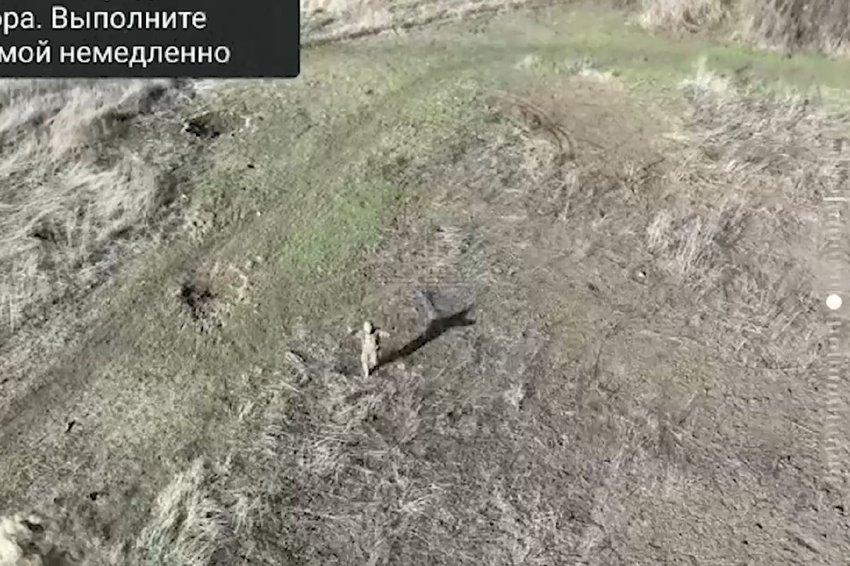Крымские десантники взяли в плен военнослужащего ВСУ с помощью квадрокоптера