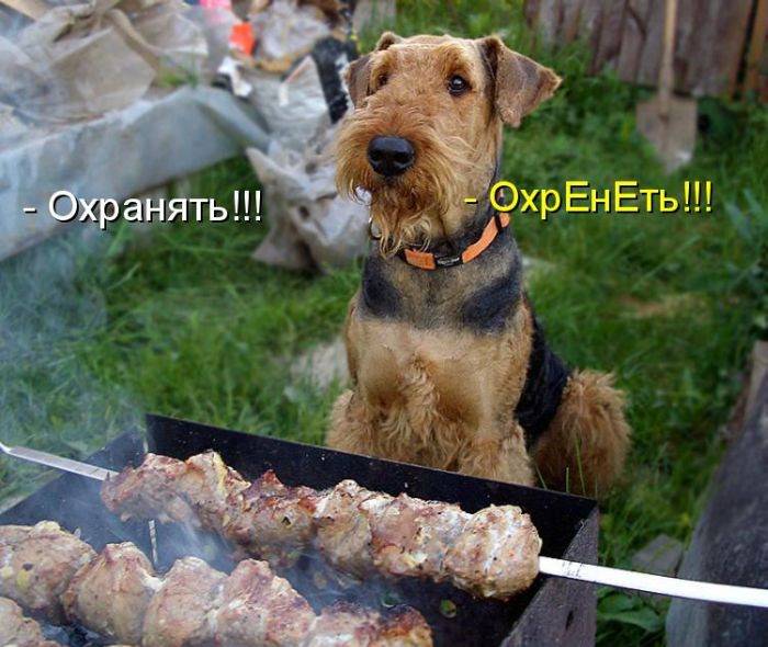 Картинки по запросу Веселые и позитивные картинки с надписью