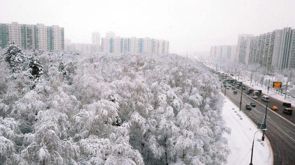 Жителей Москвы предупредили о сильном снегопаде в субботу