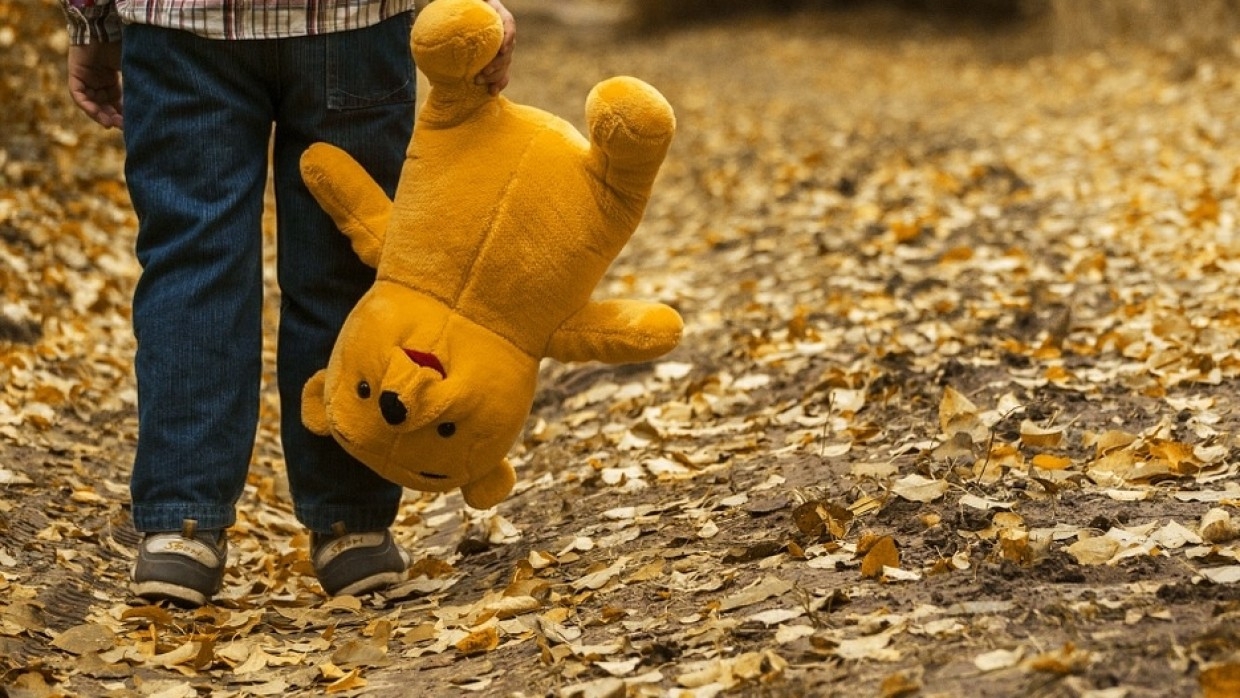 Учащийся коррекционной школы изнасиловал 12-летнего приятеля в Петербурге