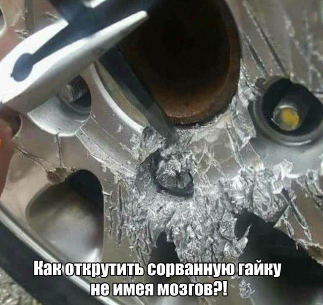 Подборка прикольных фото  (101 фото)