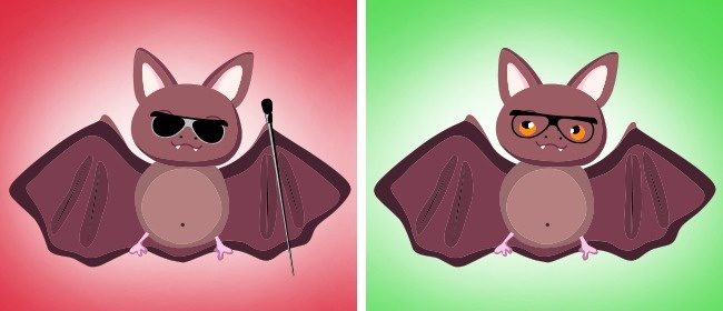 Факты о животных, в которые не стоит верить