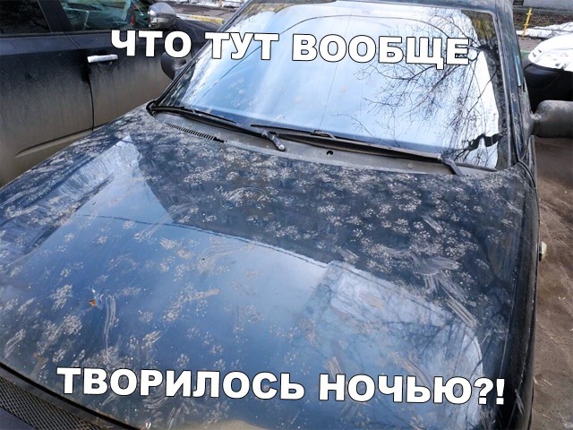 Забавные и позитивные фотографии с надписями для улыбки