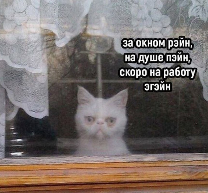 Смешные картинки про работу, жизнь и верное решение 