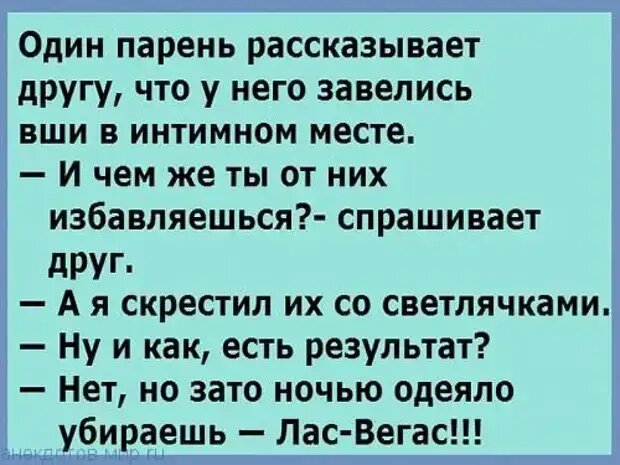 Уважаемые друзья! Часто в различных источниках  можно прочесть анекдоты, от которых порой не знаешь — смеяться или плакать.-7