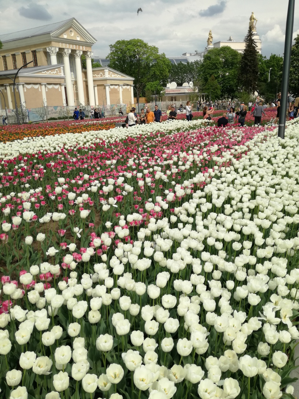 Ботанический парк ВДНХ