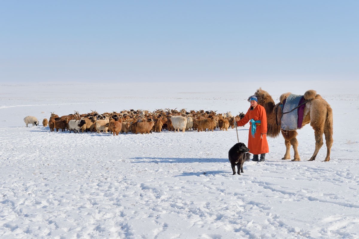 Непостижимая Монголия на снимках Марка Прогина Азия,Монголия,тревел-фото