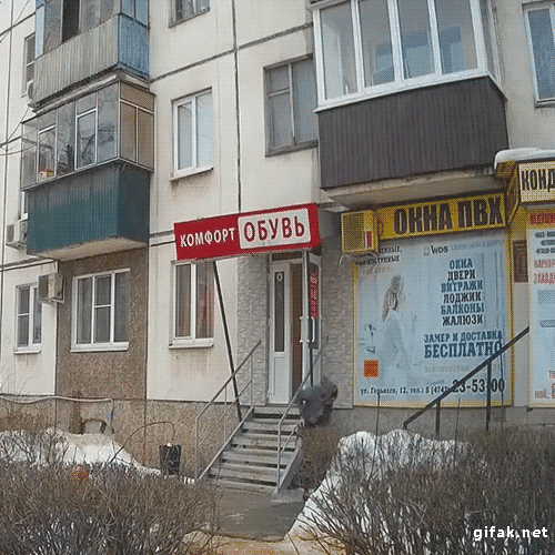 Подборка ржачных и забавных гифок со смыслом 