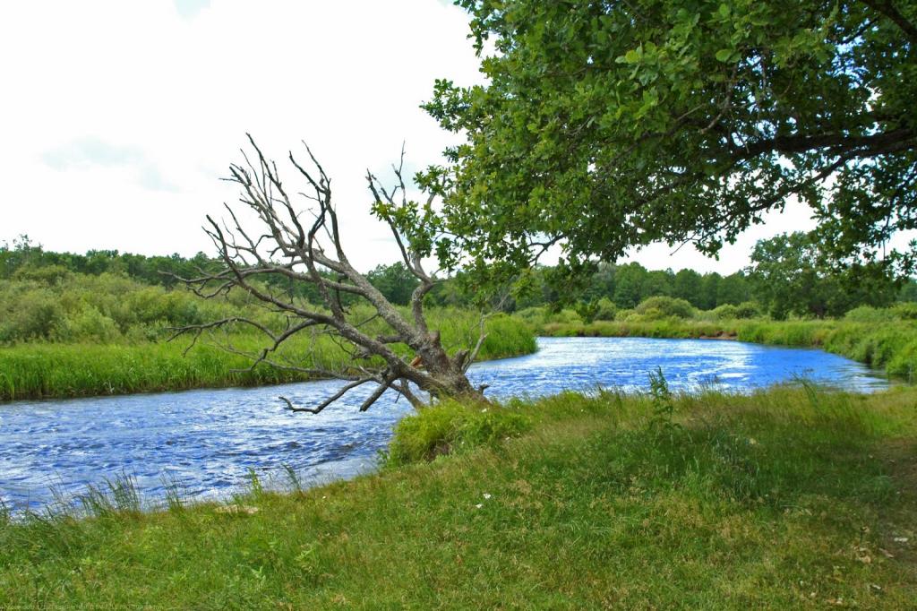 Река Щара: фото, описание