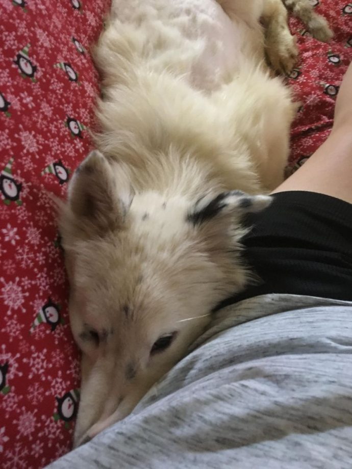 amy-cuddling.jpg.838x0_q80