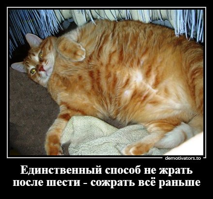 Сборник прикольных демотиваторов Сборник прикольных демотиваторов приколы