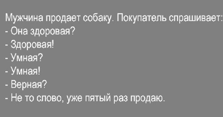 20 классных анекдотов на любой вкус. Свежая подборка 20 классных анекдотов на любой вкус. Свежая подборка
