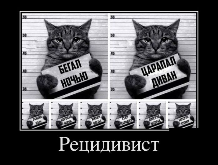 Прикольные демотиваторы: «Моя пирамида с маслоу» Прикольные демотиваторы: «Моя пирамида с маслоу»