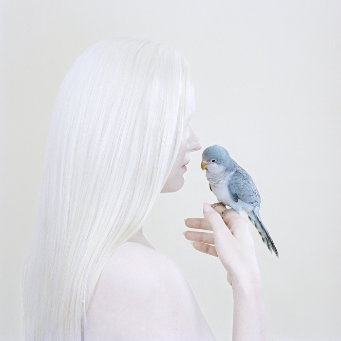 Птичий глаз, 2018 год. Автор: Petrina Hicks. Птичий глаз, 2018 год. Автор: Petrina Hicks.