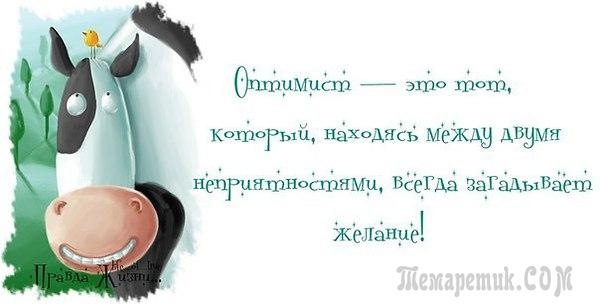 Иногда проще найти новую девушку своей мечты, чем исполнить мечту своей девушки! веселые картинки