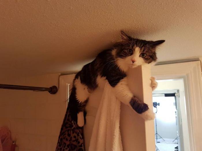 Подборка веселых, классных и забавных фотографий с надписями и прикольных картинок из сети картинки с надписями,красивые фотографии,приколы,прикольные картинки,смешные комментарии,юмор