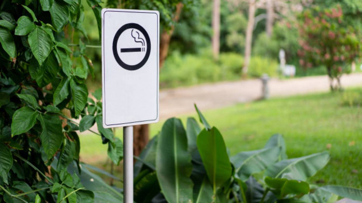 Программу для фиксации фактов курения в неположенных местах создадут в России