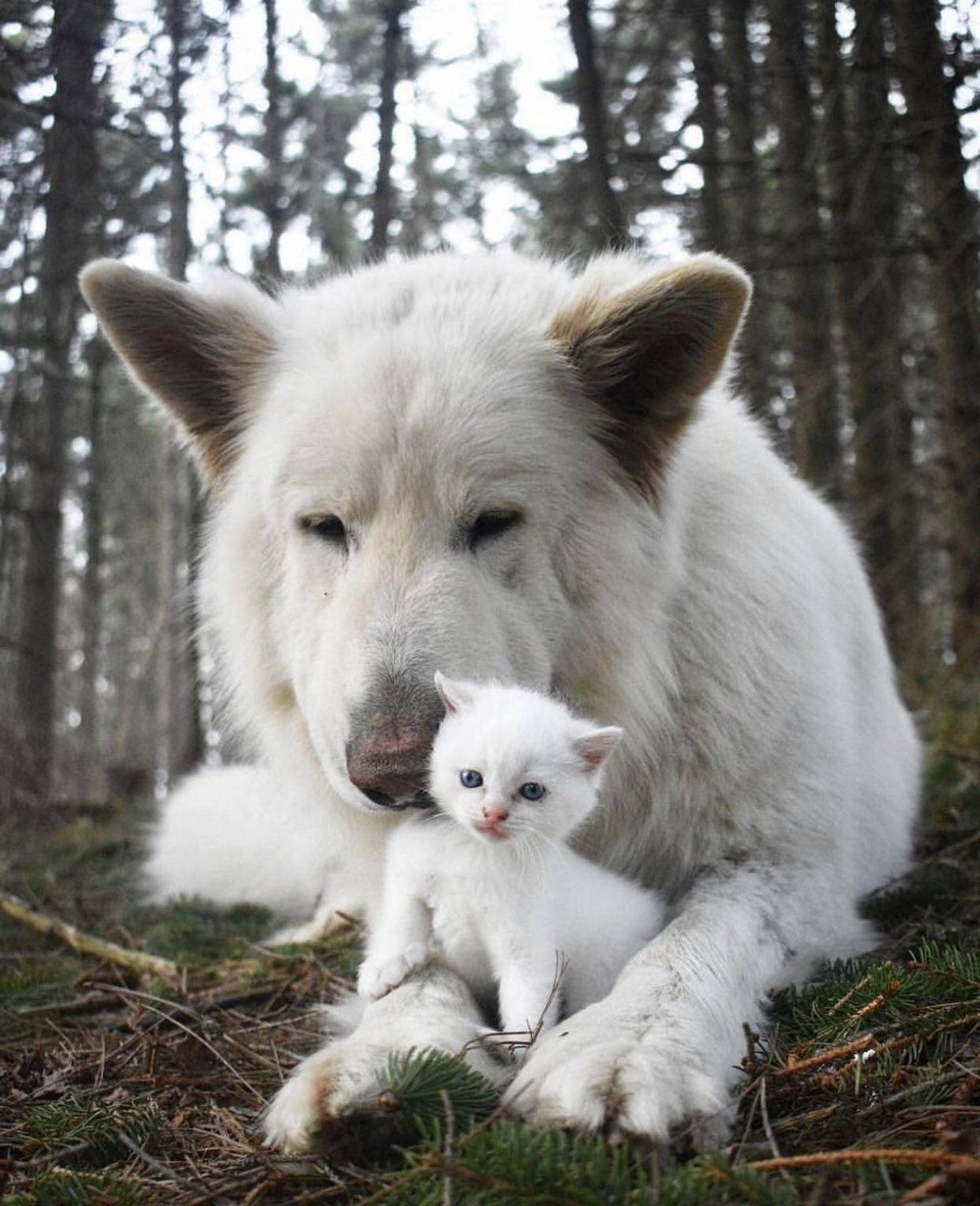 Фотографии которые говорят больше чем слова! фотография