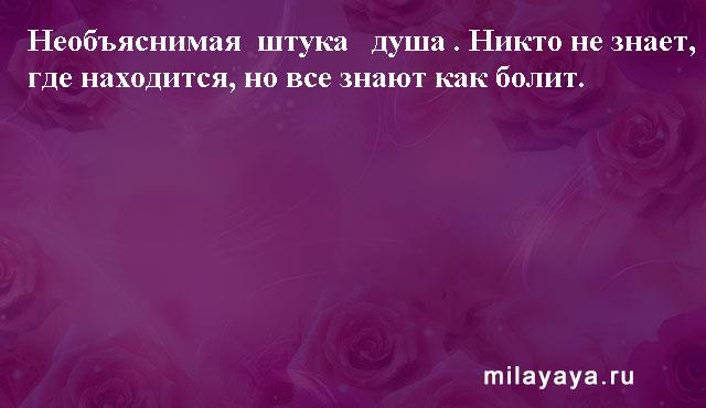 Картинки со статусами. Подборка milayaya-status-milayaya-status-03310529062020-17 картинка milayaya-status-03310529062020-17