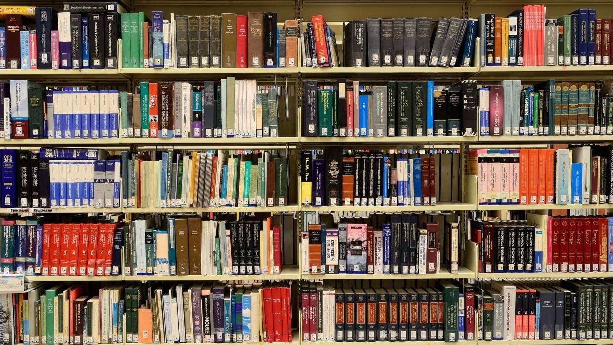 Власти Марий Эл проведут оснащение республиканских библиотек