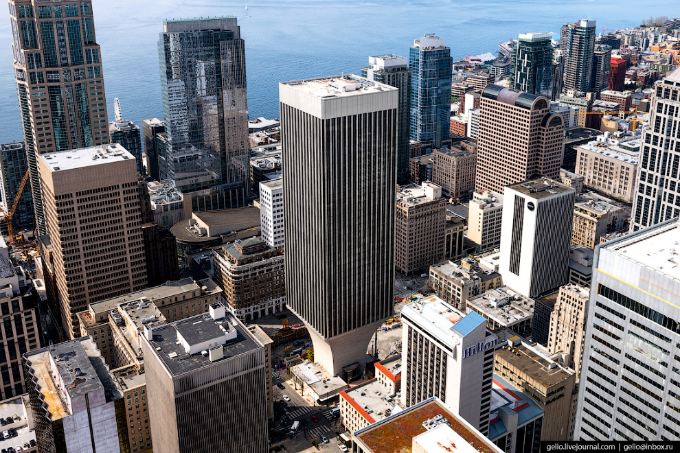 Башня «Рейнир» (Rainier Tower)