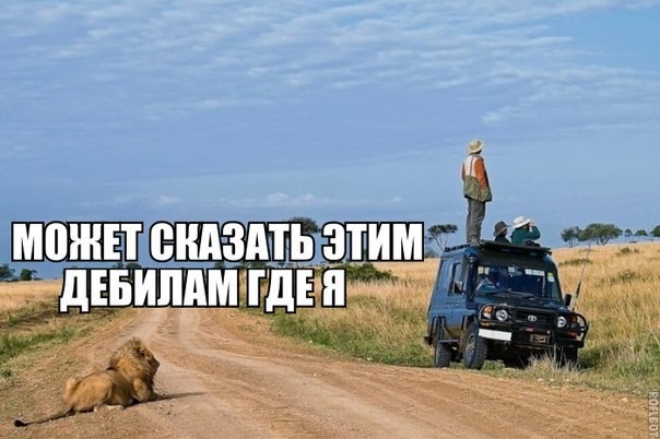 Любимому, надписи приколы на картинках