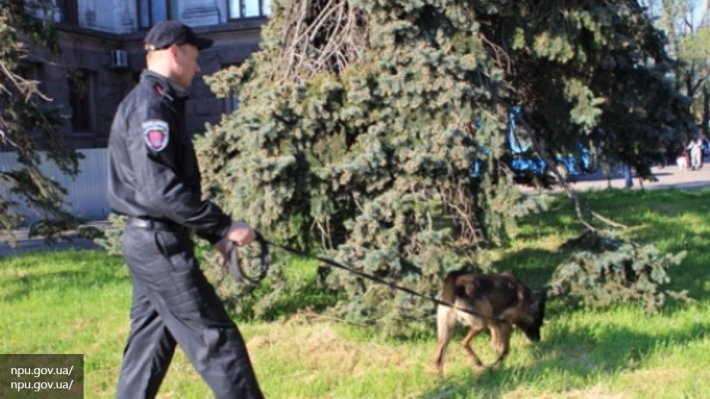 Полиция ищет бомбу на Куликовом поле в Одессе