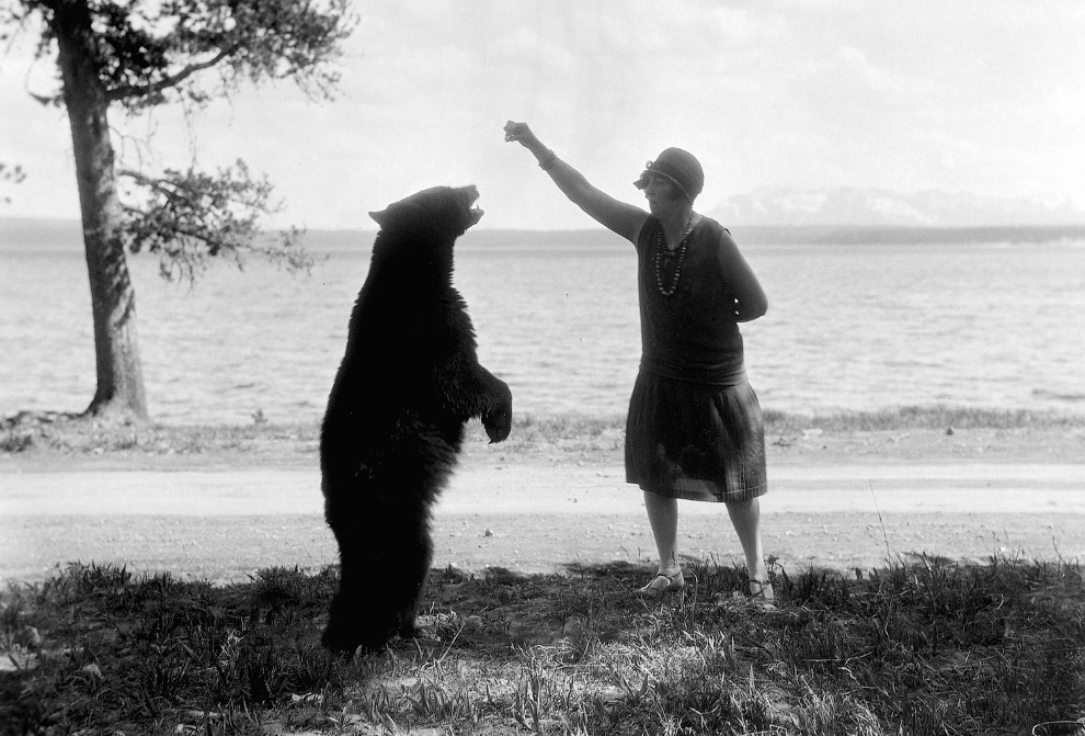 Медведь и туристка
