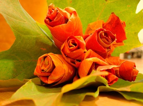 Лучшие идеи использования опавшей листвы в саду Лучшие идеи использования опавшей листвы в саду дача,огород,полезные советы,сад